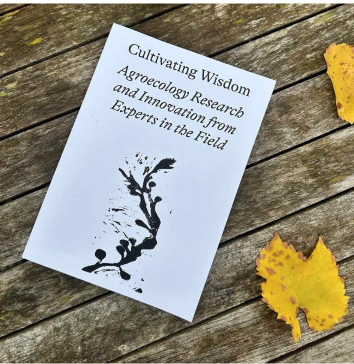 A landscape of a field with green grass and a line of trees and a cloudy sky.